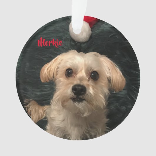 Morkie Acrylic kerstversiering Ornament (voorkant)