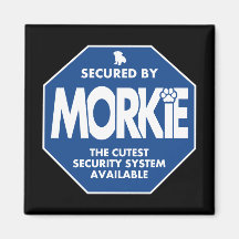 Morkie-Beveiliging-Blauw