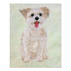 Morkie Dog Glossy Poster Perfect Poster