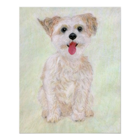 Morkie Hond Glanzende Poster Perfect Poster (Voorkant)