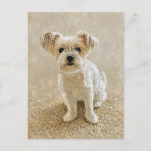 Morkie Liefde Briefkaart