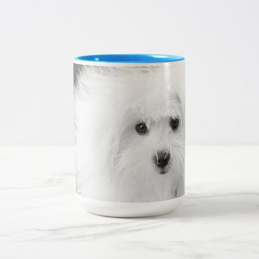 Morkie Mug (Centre)