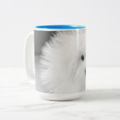 Morkie Mug (Devant gauche)