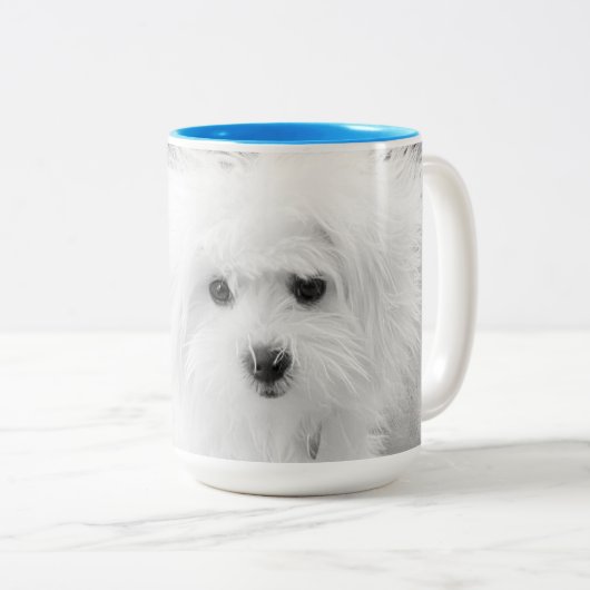 Morkie Mug (Devant droit)