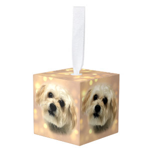 Morkie Puppy Dog Sweet Cube Ornament