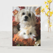 Morkie reconnaissant II - Carte blanche (Fleur jaune)