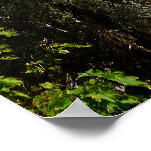 Mormon Temple Poster (Hoek)