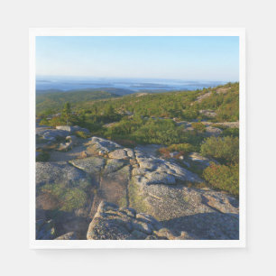 Morning atop Cadillac Mountain in Acadia Servet