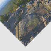 Morning atop Cadillac Mountain in Acadia Tissuepapier (Detail)