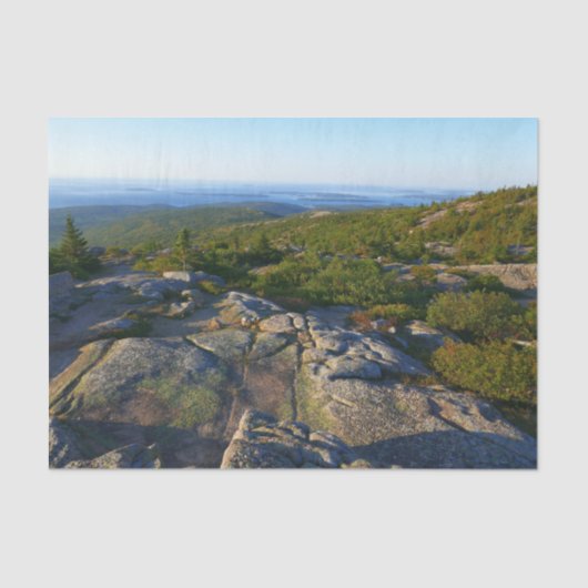 Morning atop Cadillac Mountain in Acadia Tissuepapier (Voorkant)