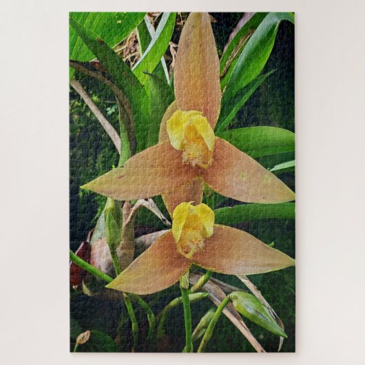 Morning Calm: Blush Petals in Gentle Focus Legpuzzel (Verticaal)