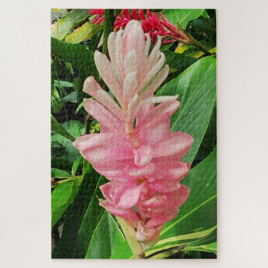 Morning Calm: Pale Pink Ginger Flower Soft Petals Legpuzzel (Verticaal)
