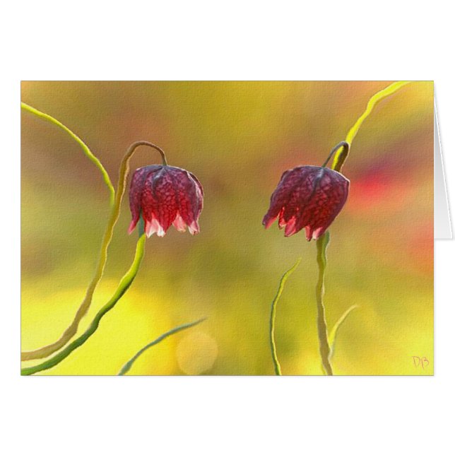 Morning Delight (Voorkant Horizontaal)