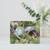 Morning Dew Briefkaart (Staand voorkant)
