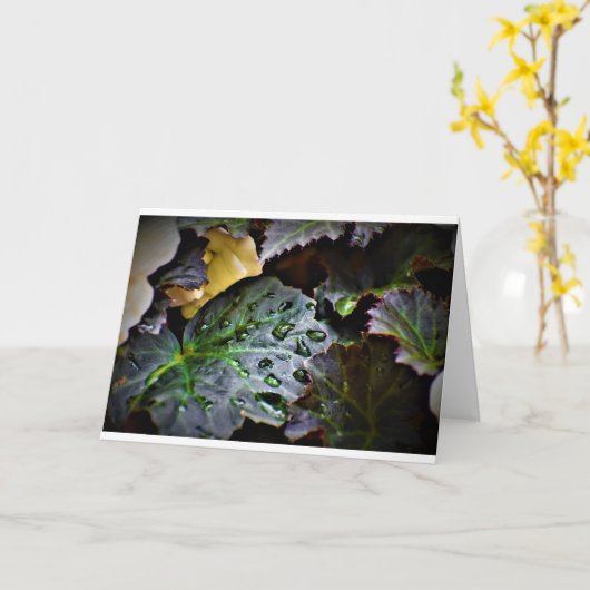 Morning Dew, carte (Fleur jaune)