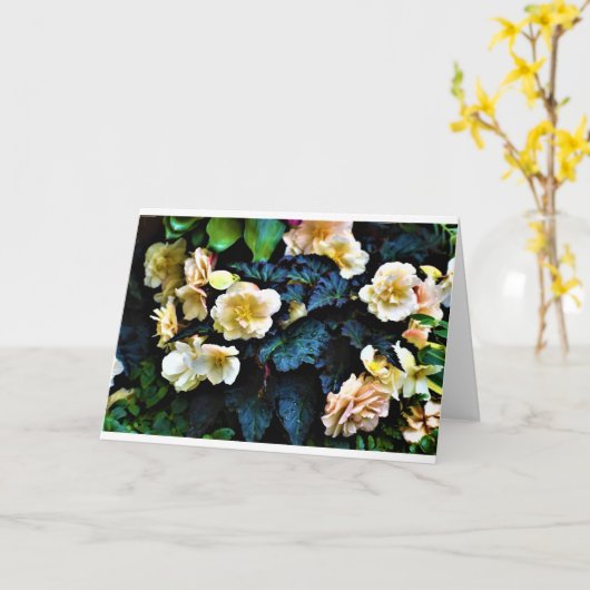 Morning Dew, carte (Fleur jaune)