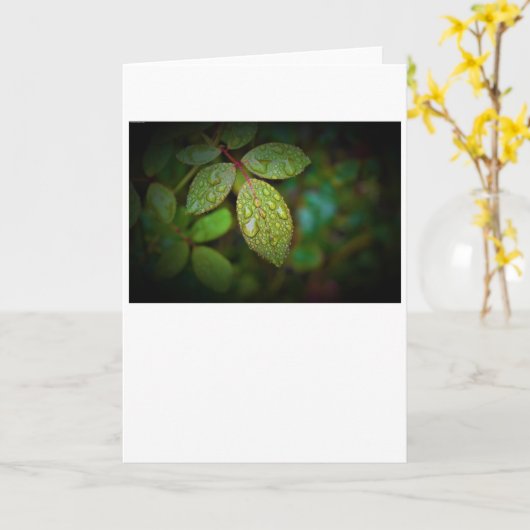 Morning Dew, carte (Fleur jaune)