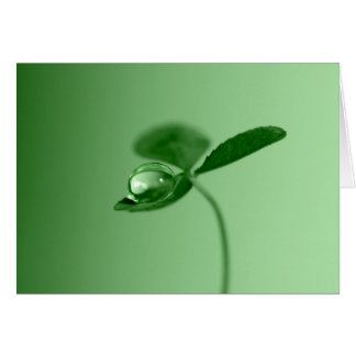 Morning dew druppel