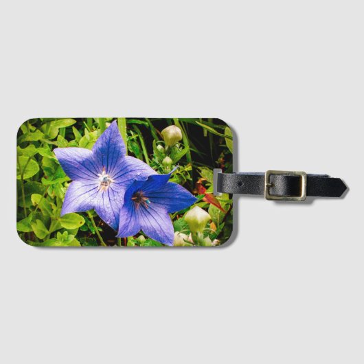 Morning Dew druppelt op een ballonventilator Bagagelabel (Voorkant (horizontaal))