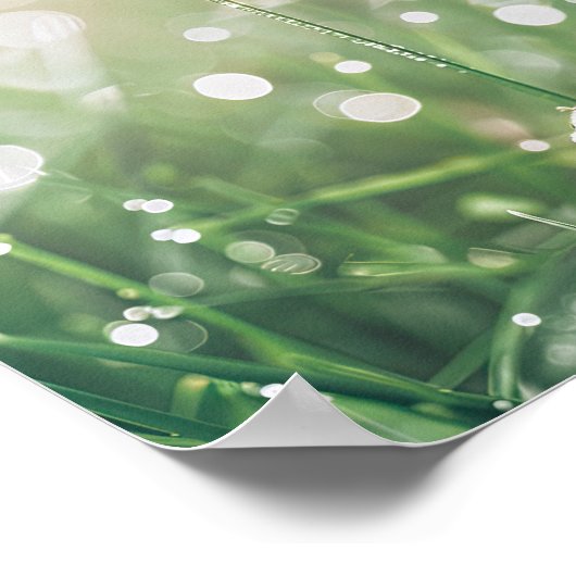 Morning Dew Ladybug: Tiny Wanderer van de Natuur Poster (Hoek)