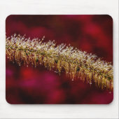Morning Dew Muismat (Voorkant)
