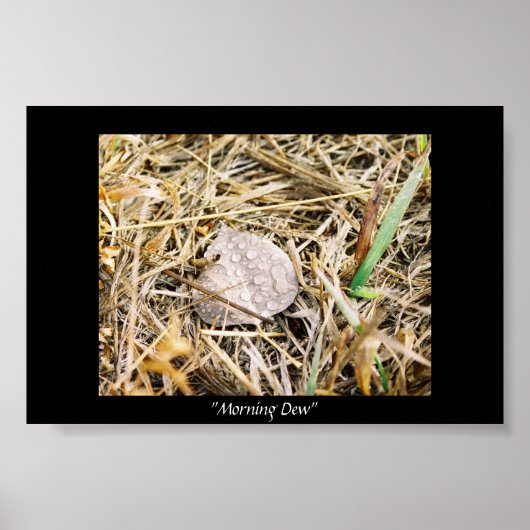 Morning Dew Poster (Voorkant)