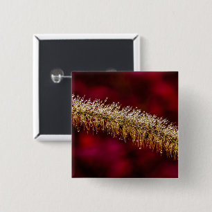Morning Dew Vierkante Button 5,1 Cm