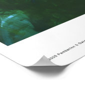 Morning Discovery Poster (Hoek)