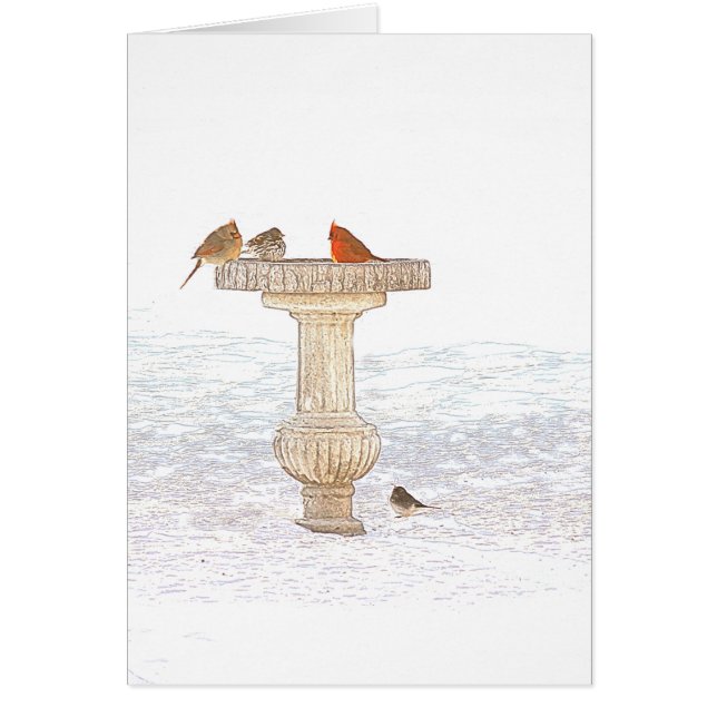 Morning Feeding DigitalArt (Voorkant)