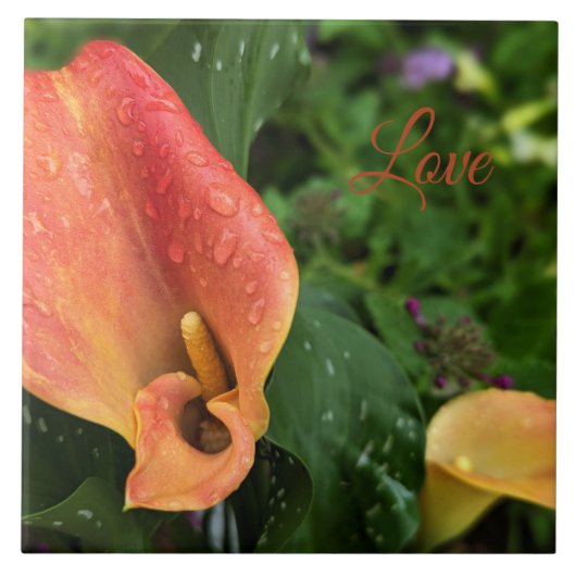 Morning Flower Tegeltje (Voorkant)