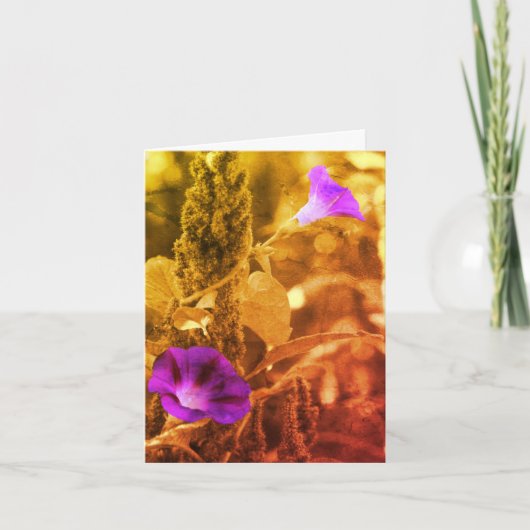 Morning Glories Black en White Note Kaart (Voorkant)