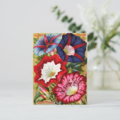 Morning Glories Briefkaart (Staand voorkant)