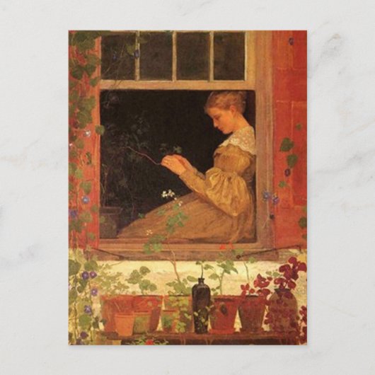 Morning Glories - Carte postale (Devant)