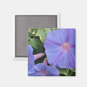 Morning Glories Magnet Magneet (Voorkant / Achterkant)