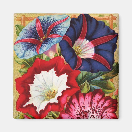 Morning Glories Magnet Magneet (Voorkant)