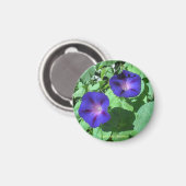 Morning Glories Magnet Magneet (Voorkant / Achterkant)