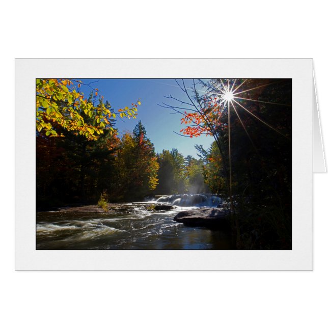 morning glory (Voorkant Horizontaal)