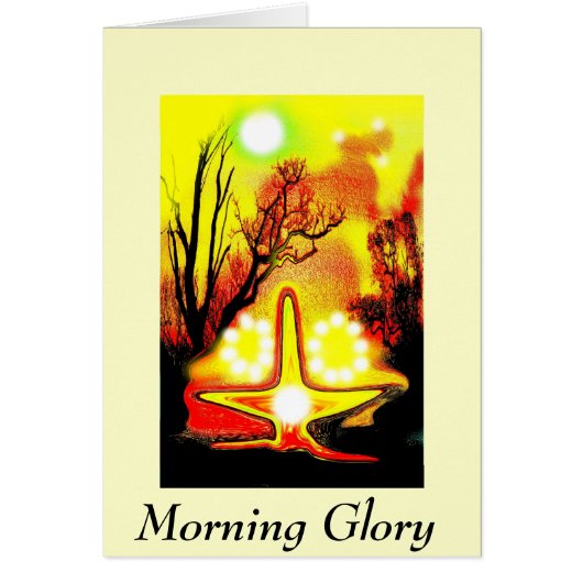 Morning glory (Voorkant)