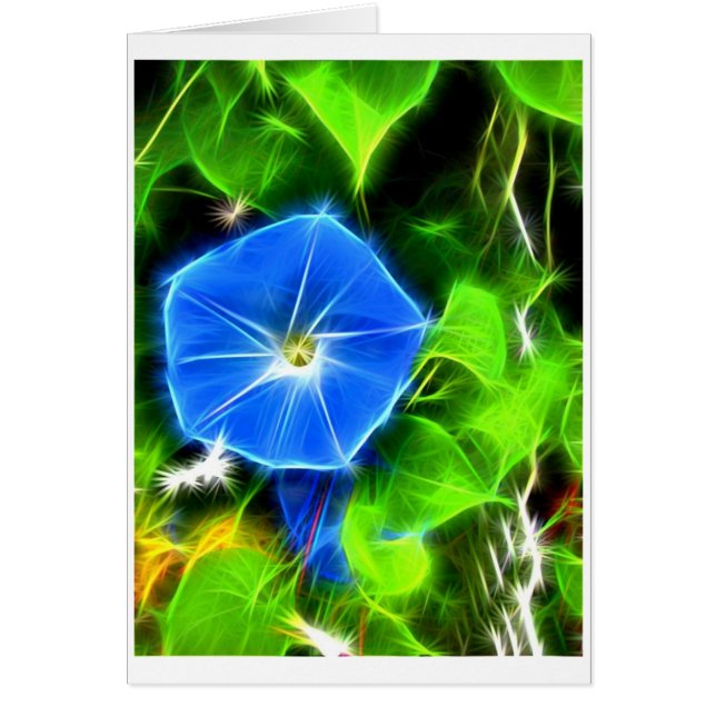 morning glory (Voorkant)