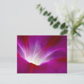 Morning Glory (2) Briefkaart (Staand voorkant)