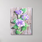 Morning Glory Barn Canvas Afdruk (Voorkant)