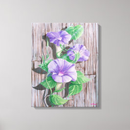 Morning Glory Barn Canvas Afdruk
