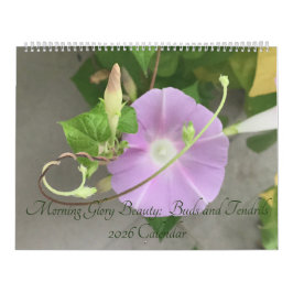 Morning Glory Beauty:  Buds and Tendrils 2026 Kalender