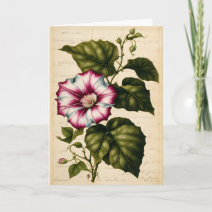 Morning Glory Botanische Illustratie Verjaardag Kaart