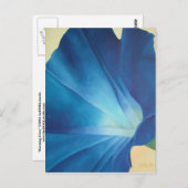 Morning Glory Briefkaart (Voorkant / Achterkant)