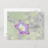 morning glory briefkaart (Voorkant / Achterkant)