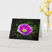 Morning Glory, carte (Fleur jaune)