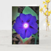 Morning Glory, carte (Fleur jaune)