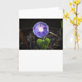Morning Glory, carte (Fleur jaune)