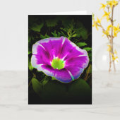 Morning Glory, carte (Fleur jaune)